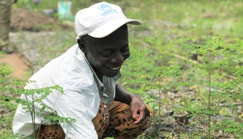 Nigeria. Climate change adaptation project